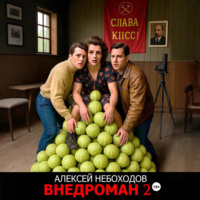 Внедроман 2
