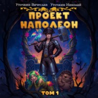 Проект «Наполеон»