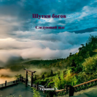 Шутки Богов. Следующий шаг