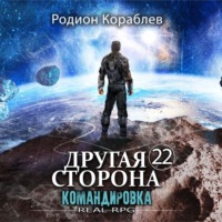Другая сторона. Том 22. Командировка
