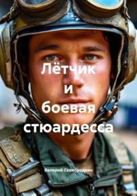 Лётчик и боевая стюардесса