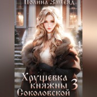 Хрущевка княжны Соколовской 3