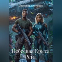 Небесная Крыса. Рейд