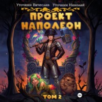 Проект «Наполеон». Том 2