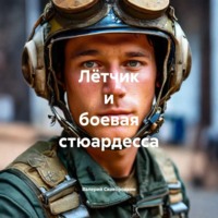 Лётчик и боевая стюардесса