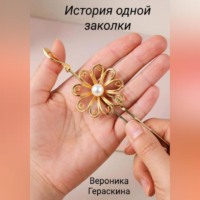 История одной заколки
