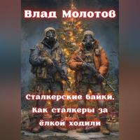 Сталкерские байки. Как сталкеры за ëлкой ходили