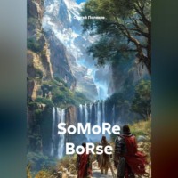 SoMoRe BoRse