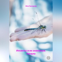 Инсекты и их знакомые. Начало.