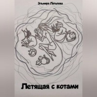 Летящая с котами