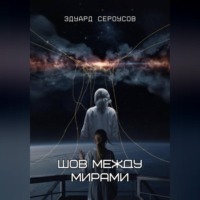 Шов между мирами