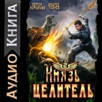 Князь Целитель 2