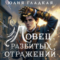 Ловец разбитых отражений