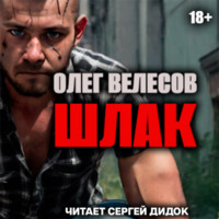 ШЛАК. Книга первая