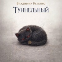 Туннельный