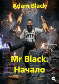 Mr Black. Начало