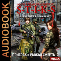 Миры Артёма Каменистого. S-T-I-K-S. Призрак и Рыжая смерть. Книга 2