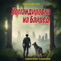 Командировка на Байред (издание второе, исправленное)
