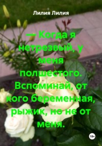 — Когда я нетрезвый, у меня полшестого. Вспоминай, от кого беременная, рыжик, но не от меня.