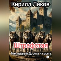 Штрафстая Том первый: Дорога из дома