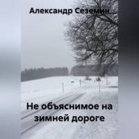 Не объяснимое на зимней дороге