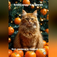 Кот, развод и Новый год!!!