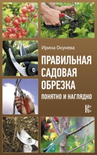 Правильная садовая обрезка: понятно и наглядно